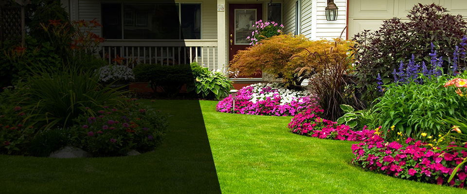 El Paso Landscapers