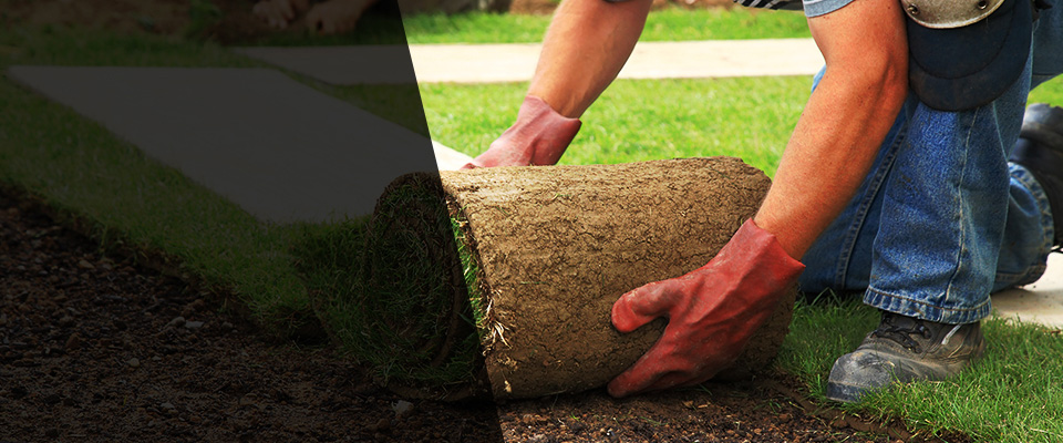 El Paso Landscapers